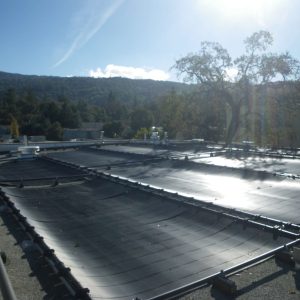 Los Gatos HS