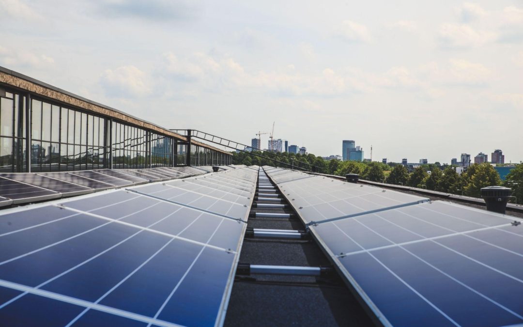 Compelling reasons to solarize your company