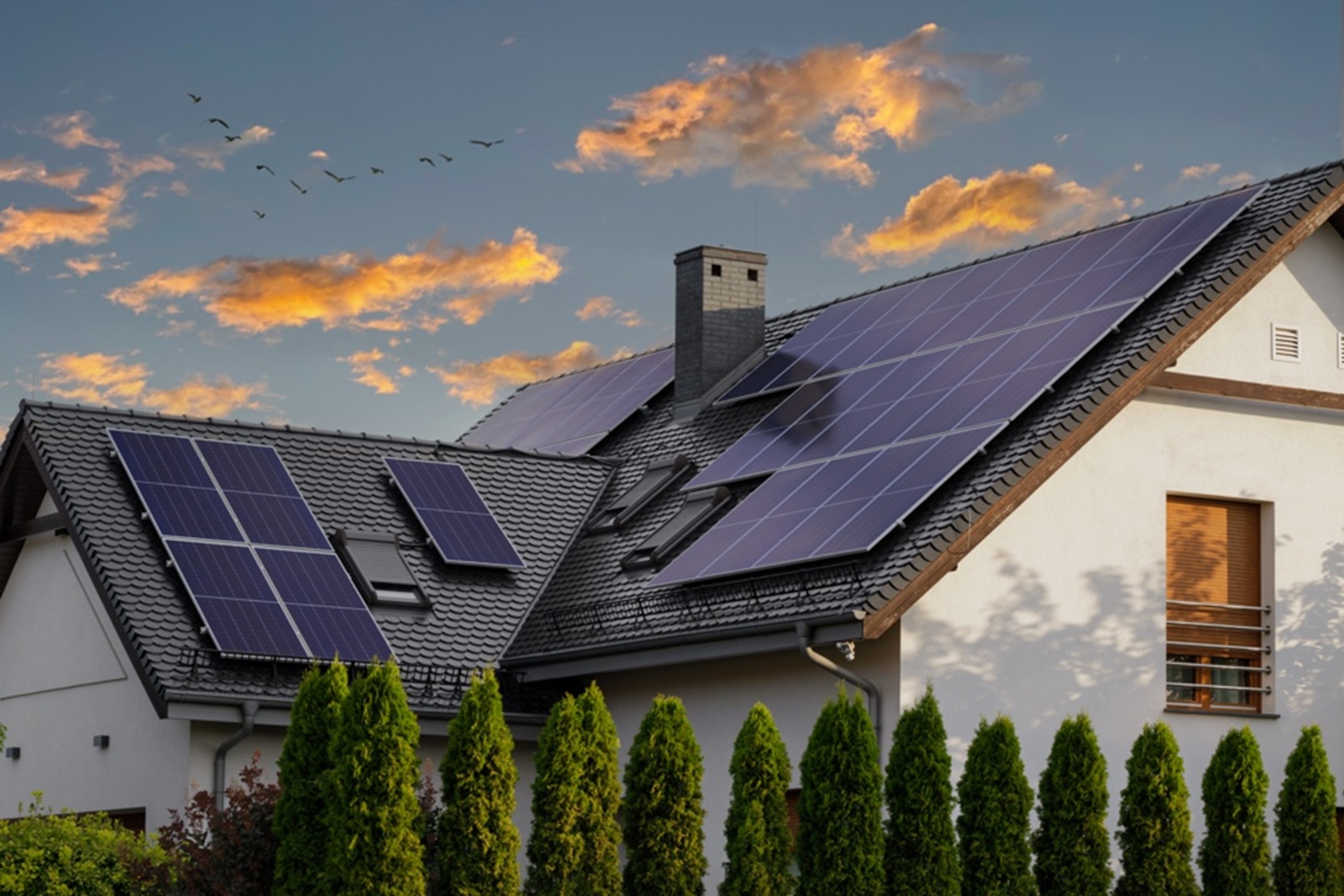 Top 5 Reasons Why Solar is the Best Home Improvement