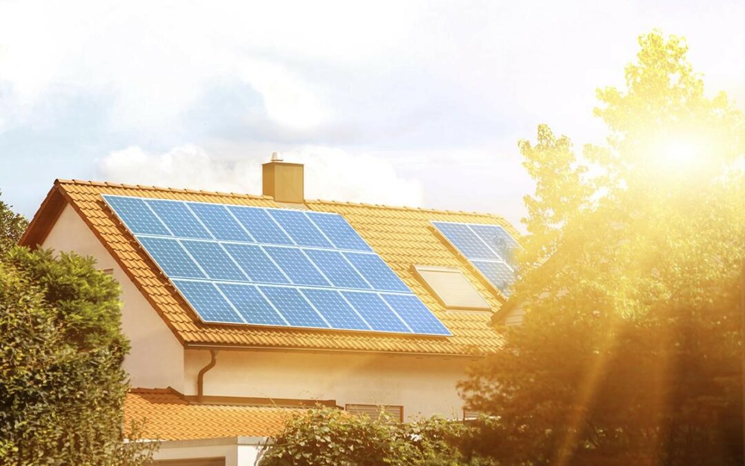 Top Reasons to Go Solar in 2024