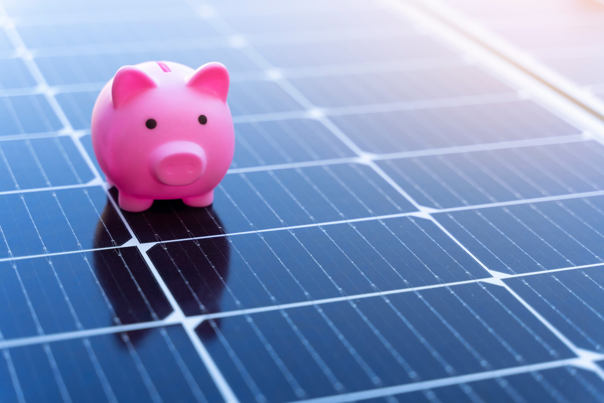 Solar panels with piggy bank
