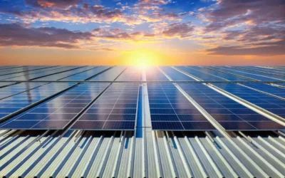 How Solar Helps Keep Your Home Cooler and Lowers Energy Costs Into Late Summer