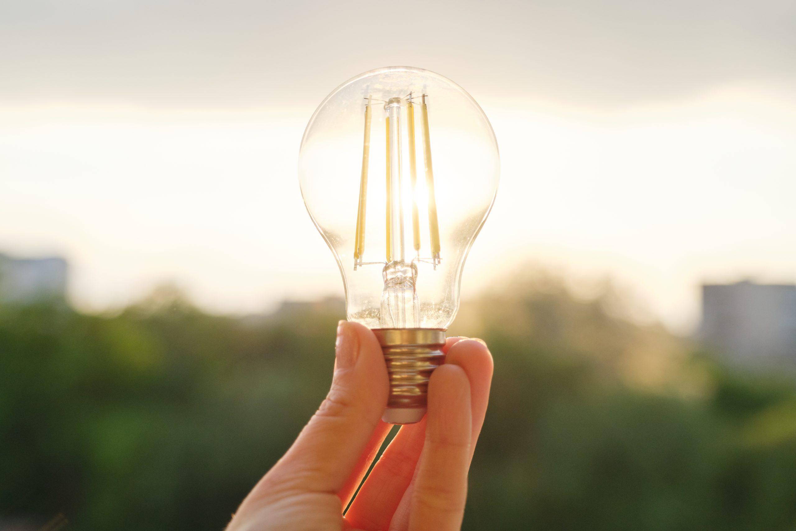 lightbulbs
